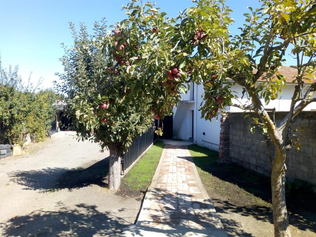 Hostel De Ескель Екстер'єр фото